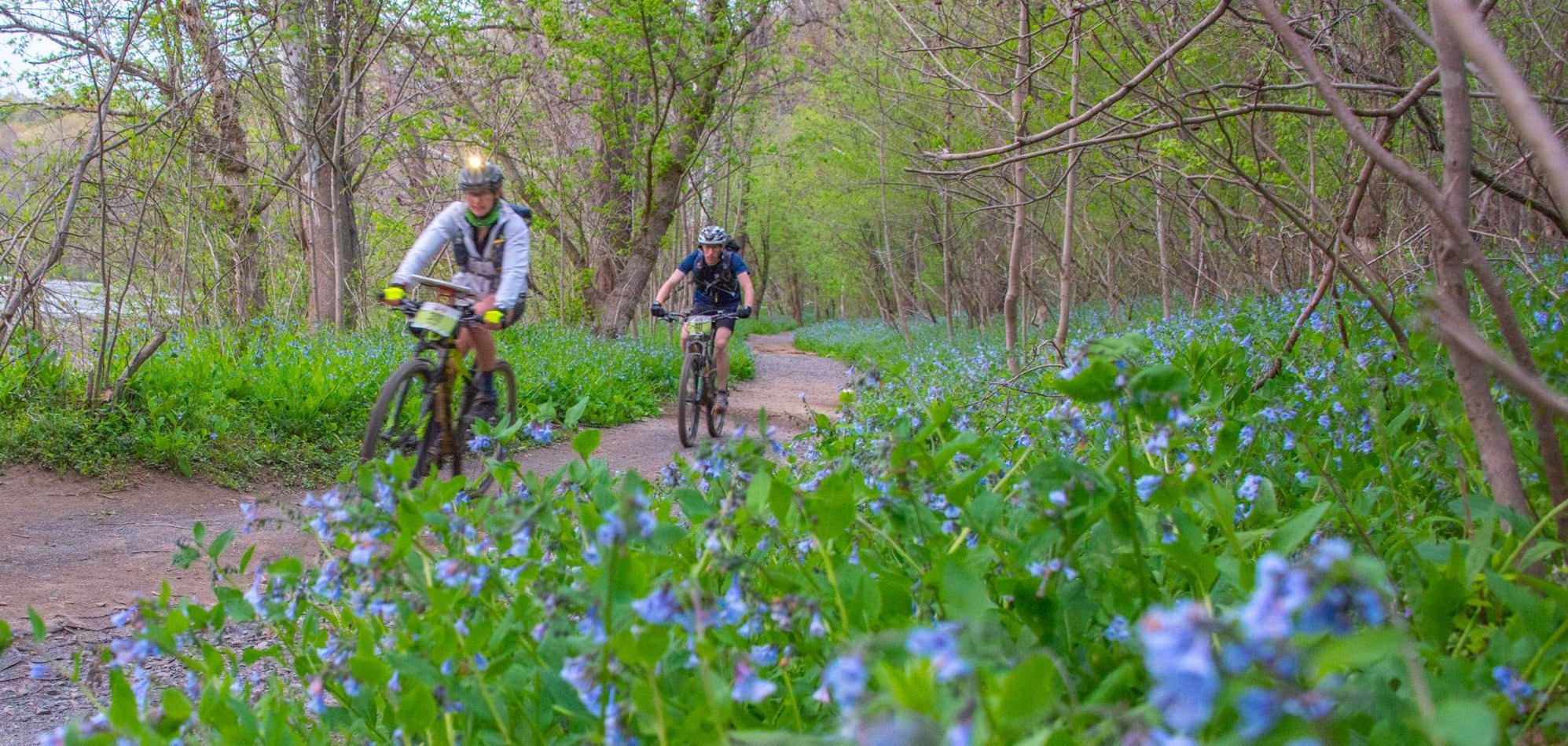 DMV Adventure Race - ARWS North America - RACES - ARWS